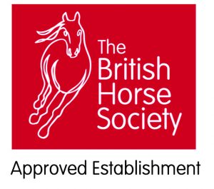 bhs_approved_establishment_white-on-red